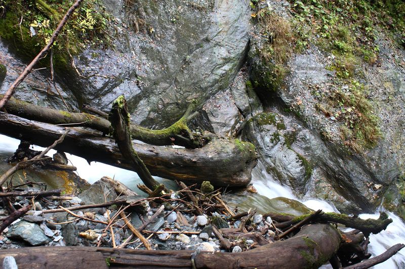 Datei:Teufelsschlucht Seewigtal 73392 2014-10-02.jpg