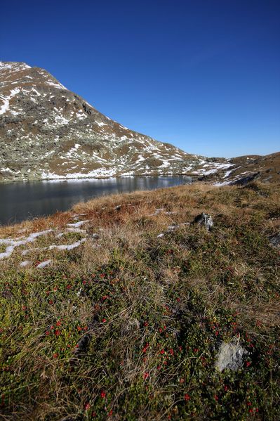 Datei:Weißensee knallstein 36407 2011-10-18.jpg