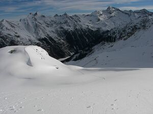 Wildkar 2421 2007-03-05.jpg