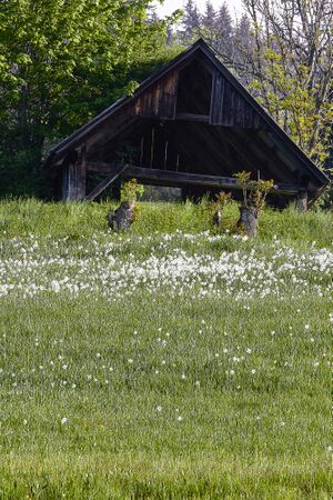 BH schlagerbauer-0271-2022-05-18.jpg