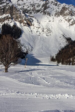 Eiskarlawine ramsau 93680 2019-01-20.jpg