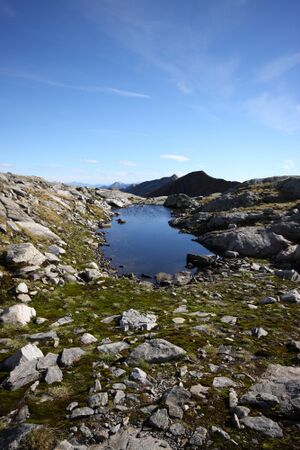 Goldlacken 0313 2013-10-08.jpg