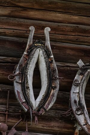 Hirzhof kummet-1000-2012-07-31.jpg