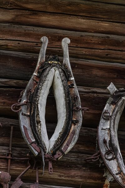 Datei:Hirzhof kummet-1000-2012-07-31.jpg