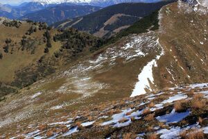 Horninger sattel 61392 2017-10-11.jpg