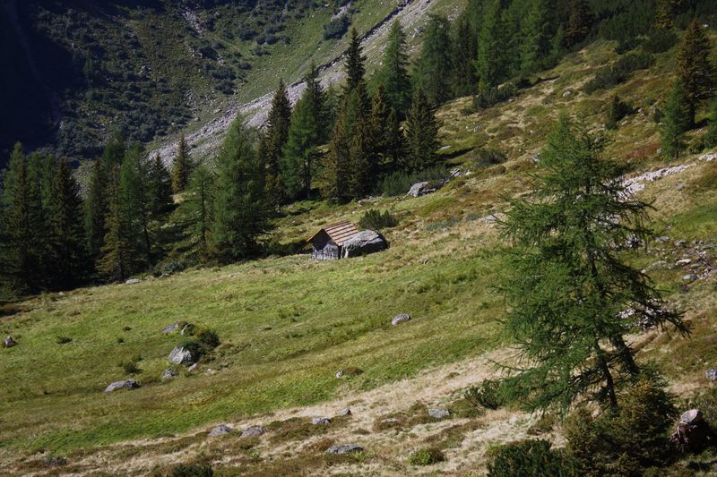 Datei:Lassachalm (Alm) 02536 2015-08-28.jpg