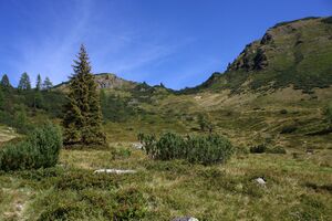 Lassachalm (Alm) 02544 2015-08-28.jpg