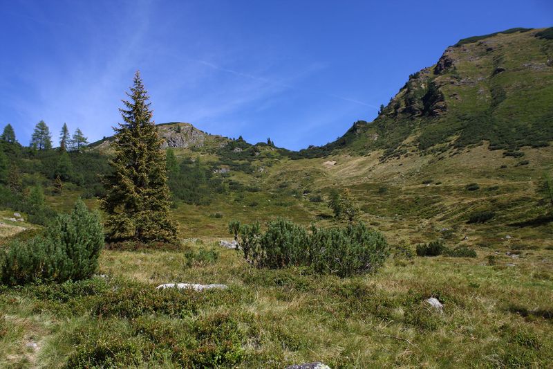 Datei:Lassachalm (Alm) 02544 2015-08-28.jpg