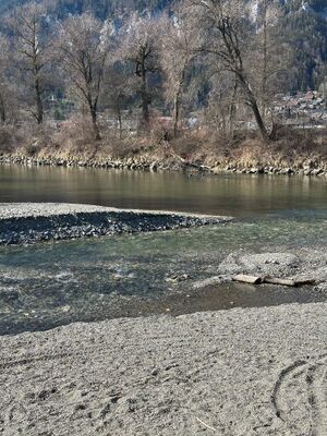 Mündung gulling-enns-0036-2025-03-20.jpg