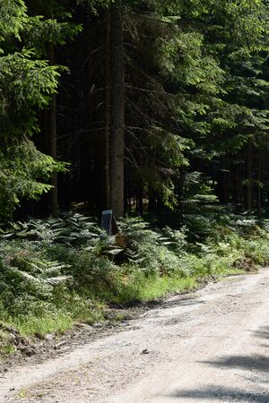 Mitterberg lassing-0006-2023-06-14.jpg