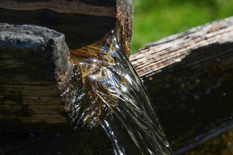 Datei:Moaralm 1105 2009-05-17.jpg