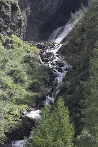 Oberalmbach -putzentalalm 54611 2017-08-02.jpg