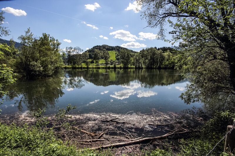 Datei:Ofenlegerteich niedergstatt 48096 2017-05-26.jpg