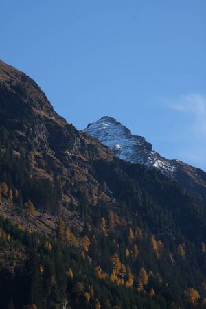 Placken 7607 2011-10-30.jpg