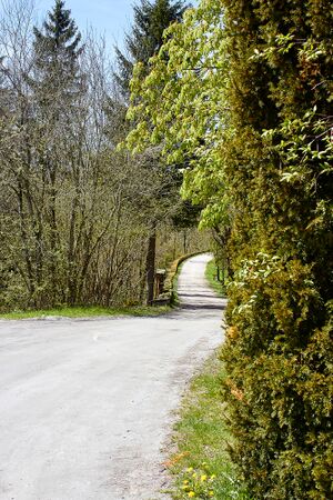Schlossweg burg strechau-300348-2023-05-04.jpg