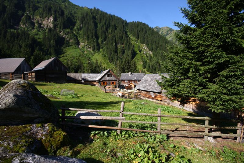 Datei:Schrabachalm 971 13-08-05.jpg