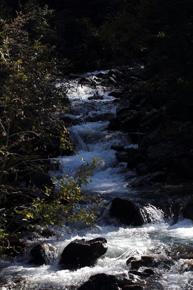 Datei:Steinriesenbach 59479 2017-10-02.jpg