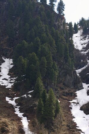 Strickerkar 55682 2014-05-02.jpg