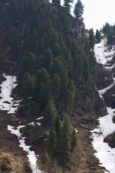 Datei:Strickerkar 55682 2014-05-02.jpg