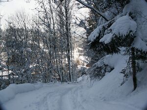 Talbachklamm 05-02-04 7940.jpg