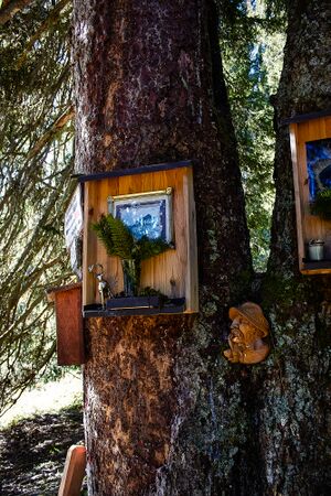 Totes gebirge-1147-2020-11-06.jpg