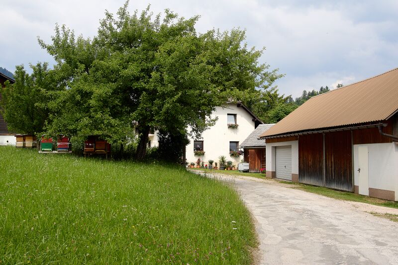 Datei:Vlg perl nr 20-0789-2023-06-16.jpg