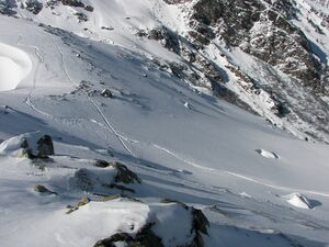 Wildkar 2509 2007-03-05.jpg