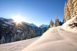 Zur ob.moseralm-preunegg 94320 2007-11-28.jpg