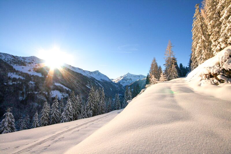 Datei:Zur ob.moseralm-preunegg 94320 2007-11-28.jpg