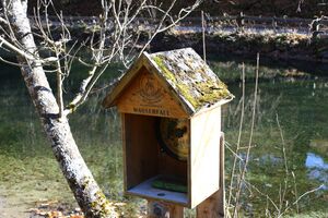 Almseeteich burgstaller 13936 2015-11-12.jpg