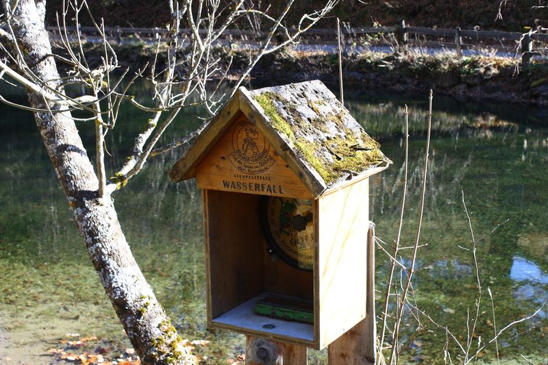 Datei:Almseeteich burgstaller 13936 2015-11-12.jpg