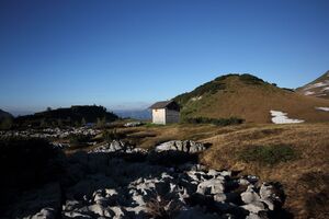 Bräuningalm 50189 2017-06-11.jpg