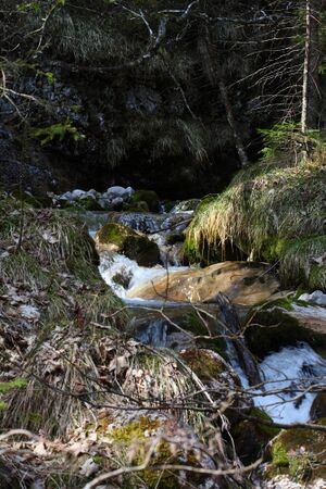 Feisterbach 1138 2008-04-17.jpg