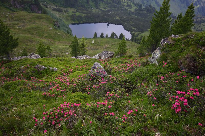 Datei:Finsterkarsee 1213 13-07-12.jpg