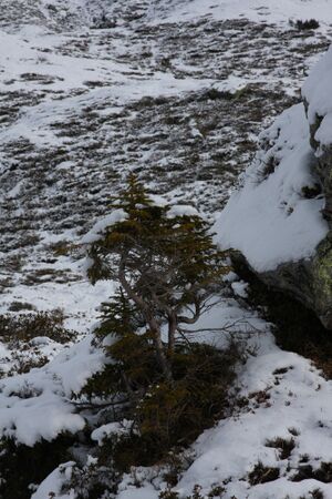 Giglach 0533 2010-11-20.jpg