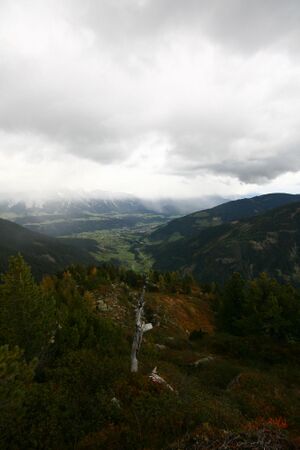 Guschen 20060 2007-09-28.jpg