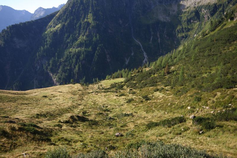 Datei:Lassachalm (Alm) 02526 2015-08-28.jpg