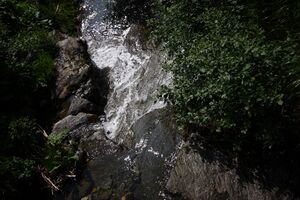 Mößnakarbach 0907 13-07-12.jpg