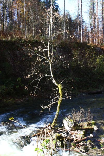 Datei:Toplitzbach 77684 2014-11-03.jpg