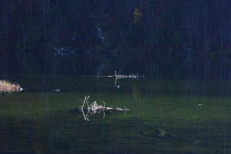 Datei:Toplitzsee 77780 2014-11-03.jpg