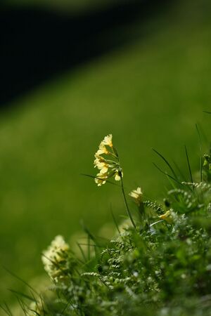 Untertal 22303 2008-05-08.jpg