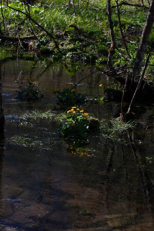 Untertal 22359 2008-05-08.jpg