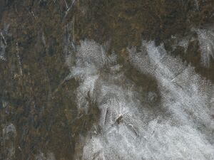 Bergseen himmelreich-giglach 8072 2005-10-11.jpg