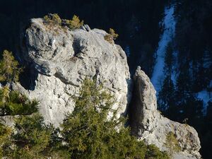 Freienstein-hofer 1231.jpg