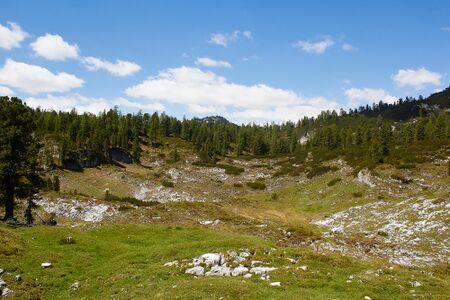 Kessel plankenalm-1000-2022-06-12-2.jpg