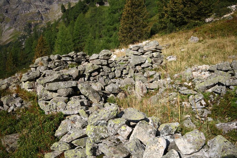 Datei:Lassachalm (Alm) 02507 2015-08-28.jpg