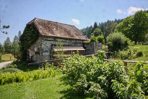 Müllnerhof 7781.jpg