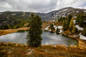Michelirlingsee-112-2020-05-22.jpg