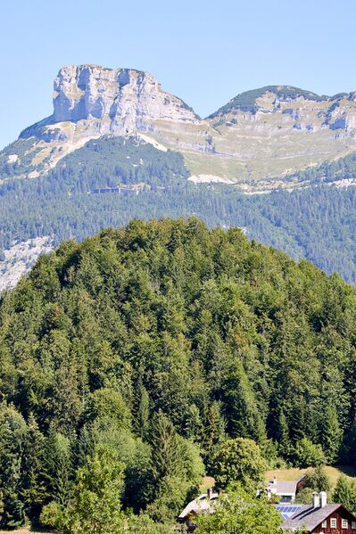 Datei:Plattenkogel Puchen-432-2026-08-13.jpg