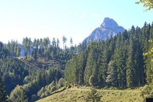 Stockingeralm kl.buchstein-0041-2025-09-15.jpg